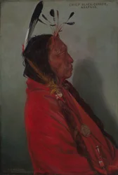 Høvding Black-Coyote