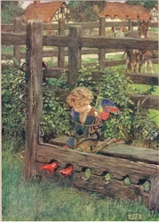 Illustration fra 