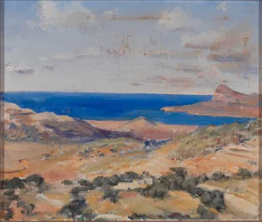 Strand med blåt hav