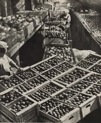 Den røde gartner kollektivgård. Illustration fra USSR Builds Socialism, 1933.