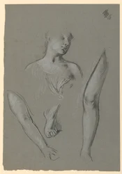 Detaljer om figurstudier