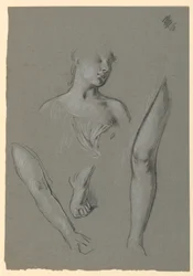 detaljer om figurstudier
