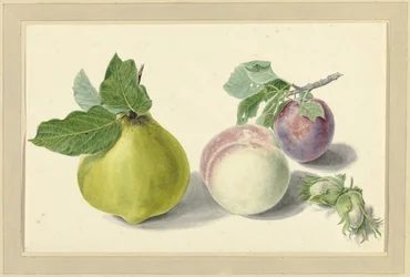 En pære, fersken, blomme og nødder