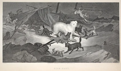 Bjørnejagt, illustration fra "The second Grinnell Expedition in Search of Sir John Franklin...", 1856