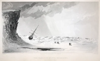 The Pack off Sylvia Headland, illustration fra 