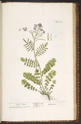 Tallerken 223, fra 