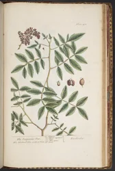 Plade 478, fra 