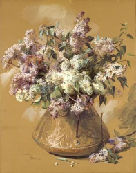 Syrener