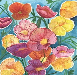 Islandske valmuer, 2018 (akvarel)