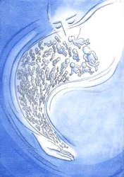 I Guds øjne er små babyer, der dør - før fødslen eller efter - som stjerneskud, der blusser kort og derefter falder ned fra himlen, 2002 (w/c på papir)