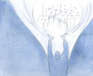 Jo mere Kristus er til stede på jorden i sjælen, jo tættere er himlen og jorden forenet af hans kraft, 2000 (w/c på papir)