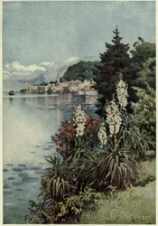 A Group of Yuccas, Villa Melzi, Lago di Como, Illustration fra 