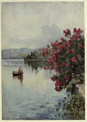 Oleanders, Lago di Como, Illustration fra 