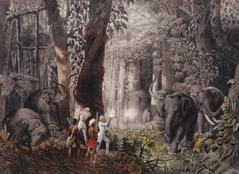 Rejser... i Østindien, Ceylon, Java, Kina og Bengalen