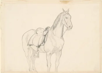 Hest