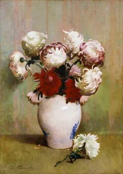 Krysantemum