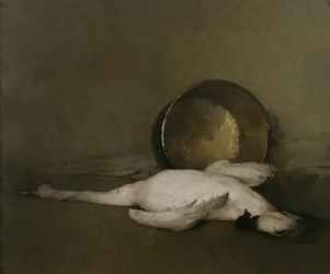 Den vilde svane, 1902