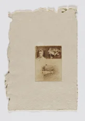 Tre studier (fm. portefølje)
