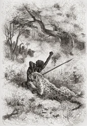 En leopard angriber en afrikaner, illustration fra 