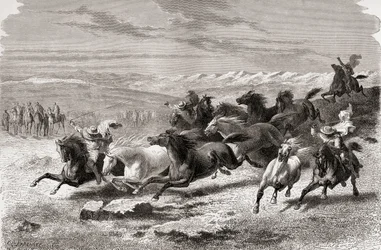Argentinske gauchos samler vilde heste sammen, illustration fra "The World in the Hands", graveret af Charles Laplante (død 1903), udgivet i 1878