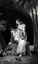 Gravering, der illustrerer en udgave fra det sene 19. århundrede af romanen af Jacques-Henri Bernardin de Saint Pierre (Jacques Henri Bernardin de Saint-Pierre): Paul et Virginie. Fugle kommer til land uden frygt nær det unge kærestepar i skoven. Tegning b