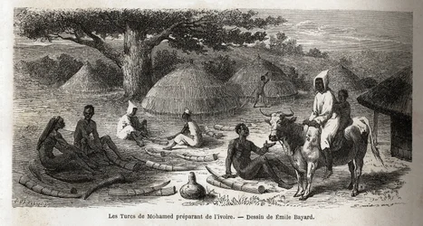 Forberedelse af elfenben til en tyrkisk handelsmand, Uganda, tegning af Emile Bayard (1837-1891), der illustrerer kaptajn Spekes opdagelsesrejse i Afrika fra 1860 til 1863. Indgravering i "" Le tour du monde"", redigeret af Edouard Charton