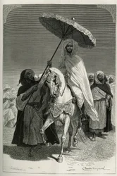 Sultan Hassan I af Marokko