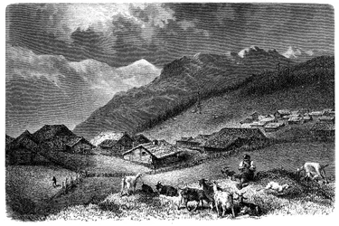 Landsby i Alperne. Murren, i Berner Oberland, højde 1630 meter. Hyrde holder sin flok geder og får (får). Illustration af Emile Bayard til Albert Dupaignes bog "Les Montagnes", udgave Mame 1881.
