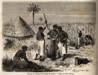 Kvinder, der banker sorghum, i ounyamoezi (regionen ved de store søer, Afrika), tegning af Emile Bayard (1837-1891), der illustrerer kaptajn Spekes opdagelsesrejse i Afrika fra 1860 til 1863. Indgravering i "" Le tour du monde"", redigeret af Edouard Chart