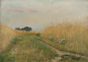 Sommerlandskab - Kornmark
