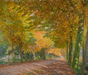 Solrig allé