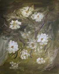 Bløde, hvide blomster