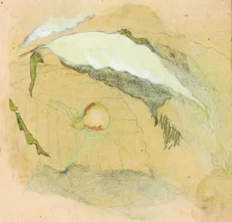 Porcelæn-hvid edderkop