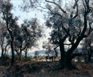 Oliventræer omkring Cap Martin, 1891.