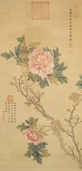Pæon, Qing-dynastiet (blæk og farve på silke)