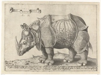 Neushoorn Rhinocerus (titel på objekt)