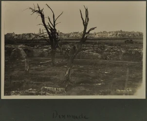 Dixmude, ca. 1916-19