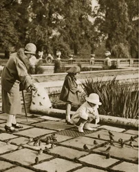 Fodring af gråspurve i Hyde Park (sepia-billede)