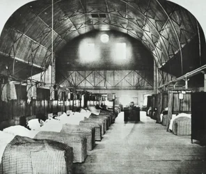 St Thomass Hospital: midlertidig afdeling i Surrey Gardens Music Hall, 1868