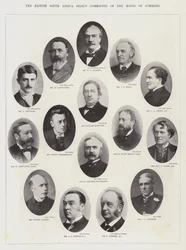 British South Africa Select Committee of the House of Commons