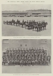 Transvaal-krisen, britiske tropper til sydafrikansk tjeneste