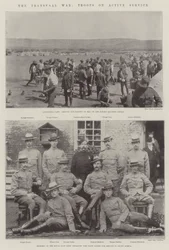 Transvaalkrigen, tropper i aktiv tjeneste