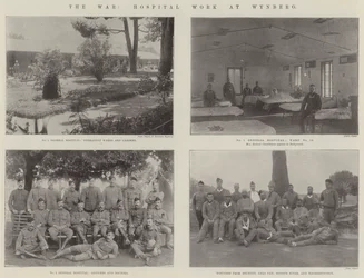 The War, Hospital Work at Wynberg