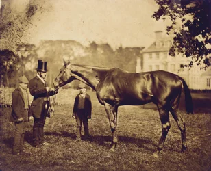 Wild Dayrell, vinder af Derbyet i 1856