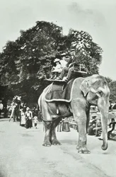 Zoological Gardens, Regents Park: elefantridning, London, ca. 1895