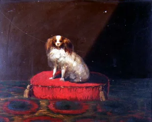En King Charles Spaniel på en rød pude, Provincial School