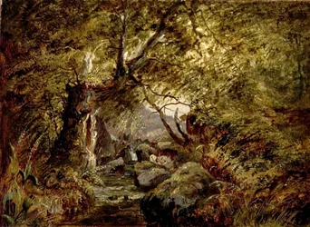 En skovstrøm