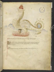 Tilføj MS 15691 