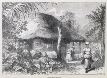 Black Habitations, fra 