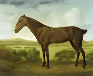 Brun hest i bakkelandskab, ca.1780-1800